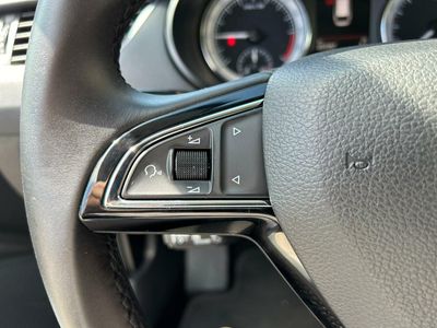 Skoda Scout 2.0 TDI 110kW (150CV) DSG 4x4 Scout