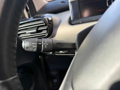 Citroën C4 Cactus BlueHDi 88KW (120CV) EAT6 Feel