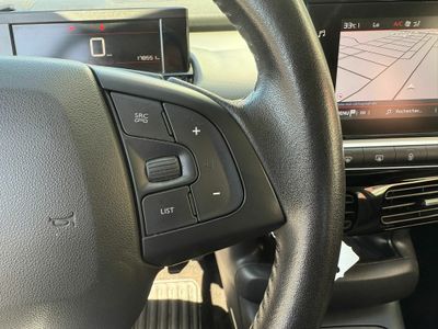 Citroën C4 Cactus BlueHDi 100 S&S Feel