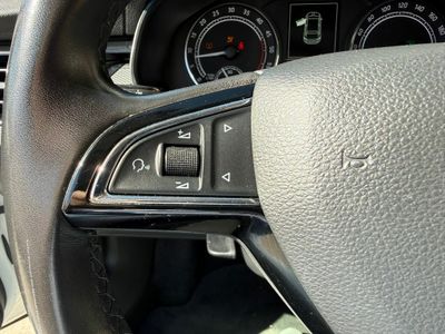 Skoda Scala SCALA 1.6 TDI 85 KW (115 CV) DSG Ambitio