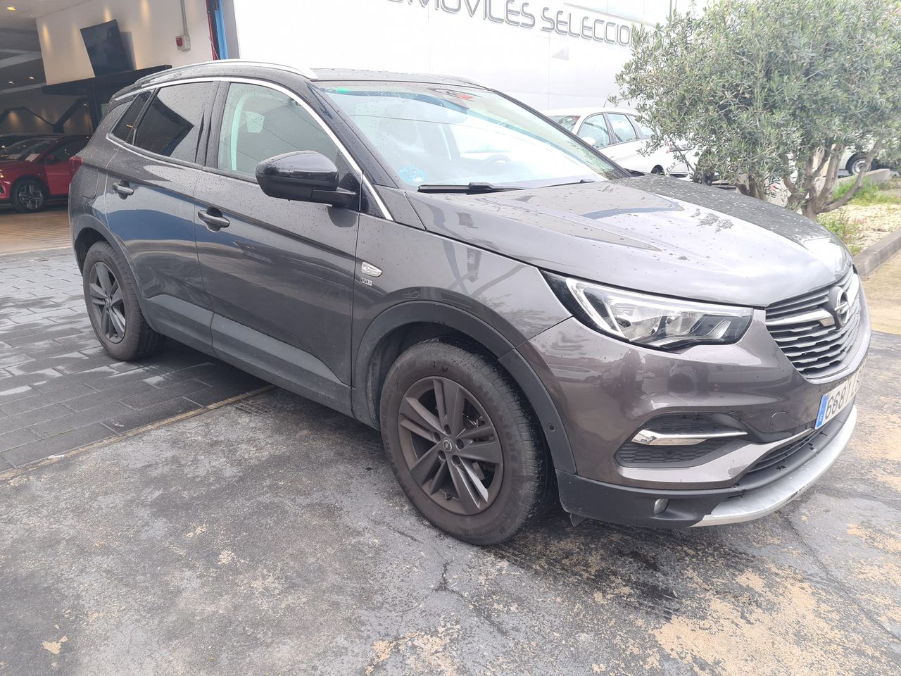 opel grandland x 2019 / foto grande (3)