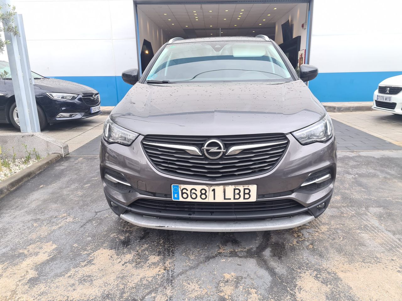 opel grandland x 2019 / foto grande (2)