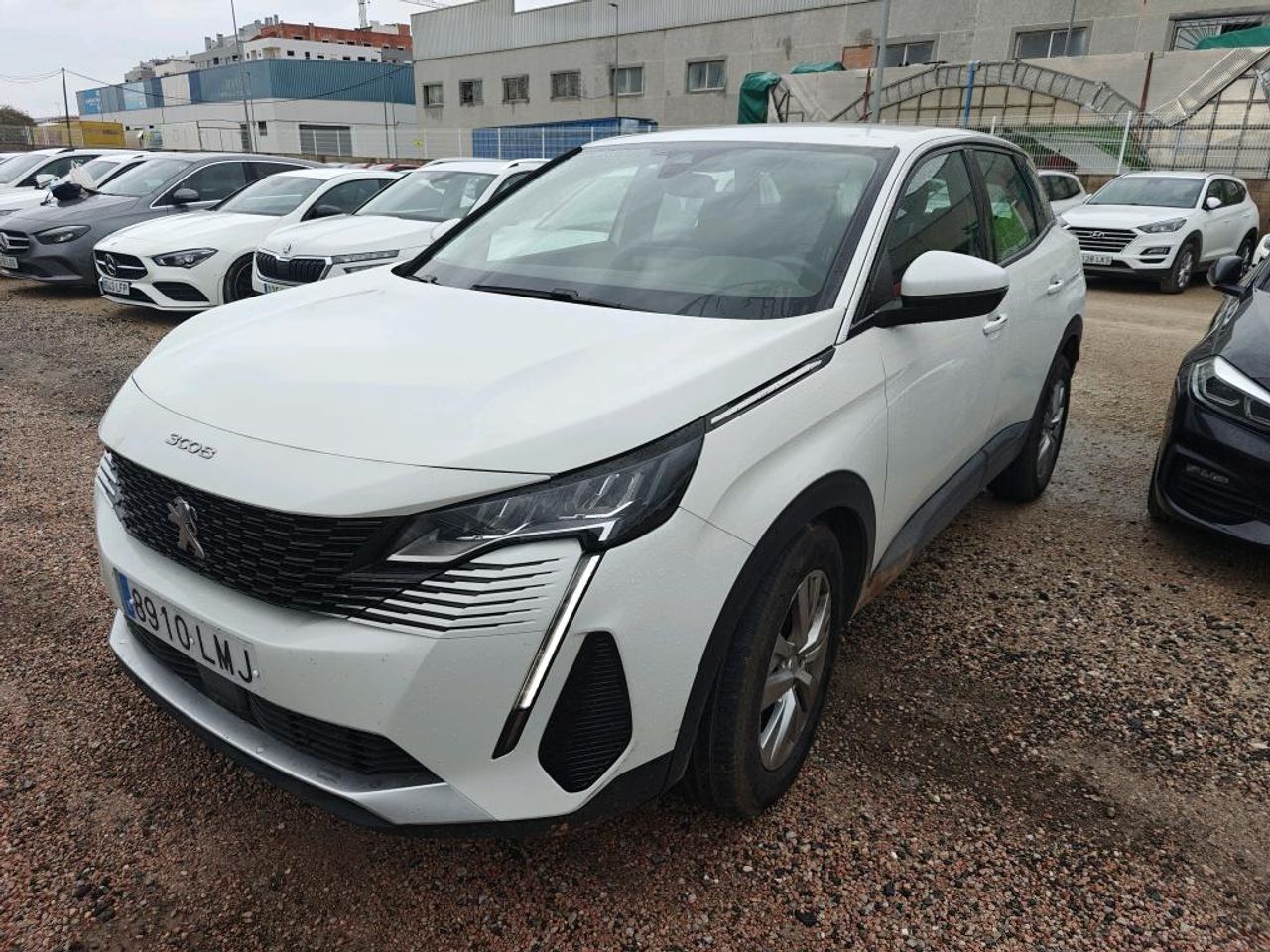 peugeot 3008 2021 / foto grande (2)