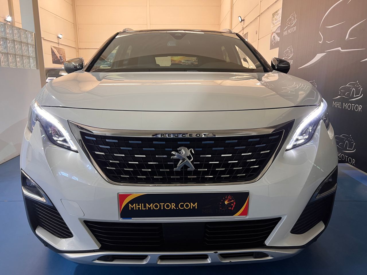 peugeot 3008 2019 / foto grande (3)