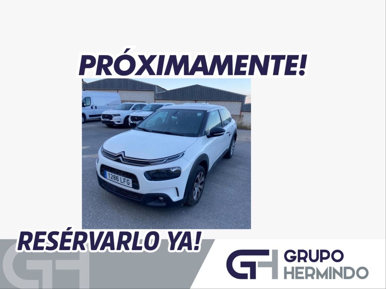 citroën c4 cactus 2020 /