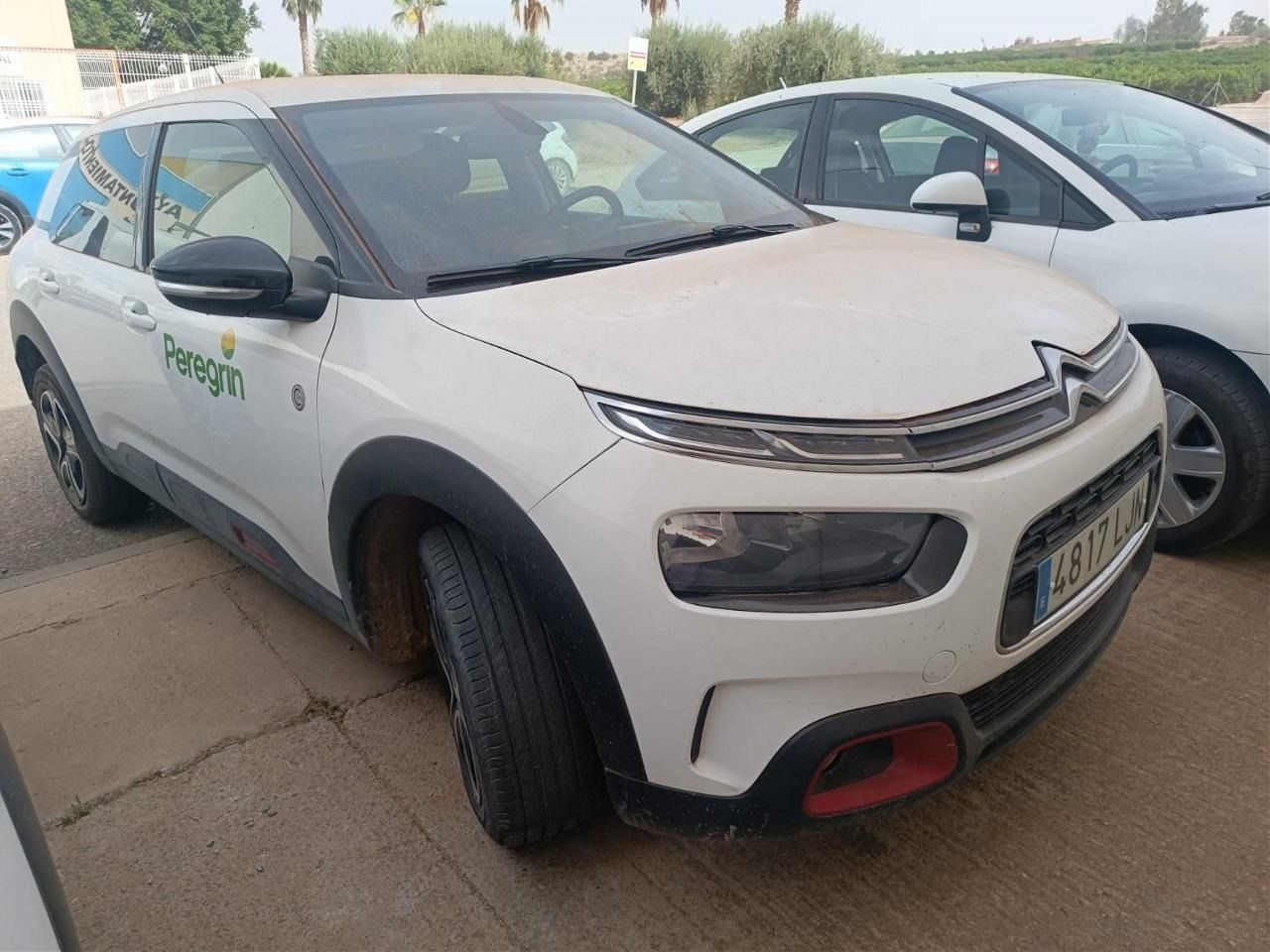 Citroën C4 Cactus C SERIES BLUE HDI 100 CV  - Foto 2