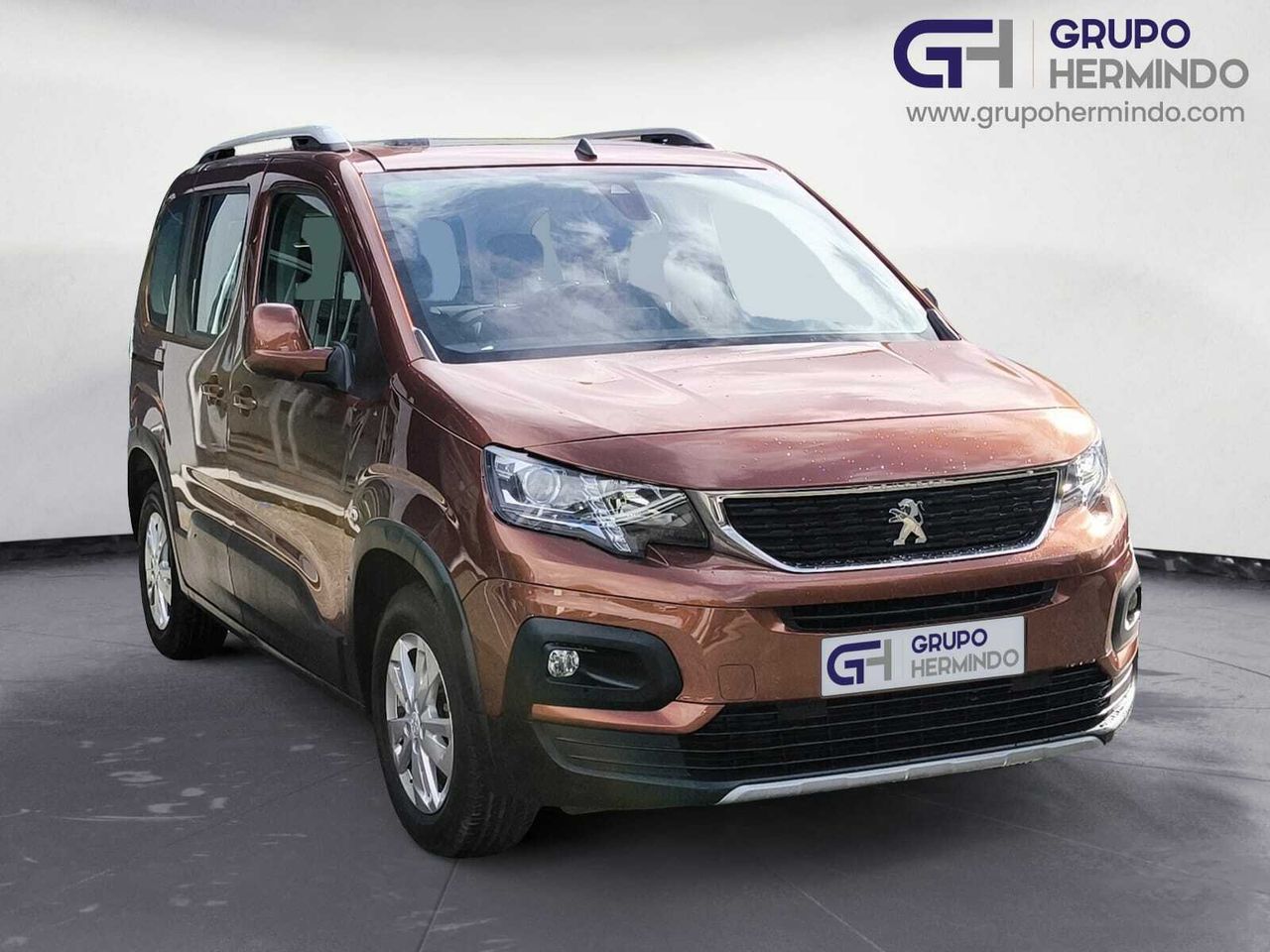 peugeot rifter 2019 / foto grande (3)