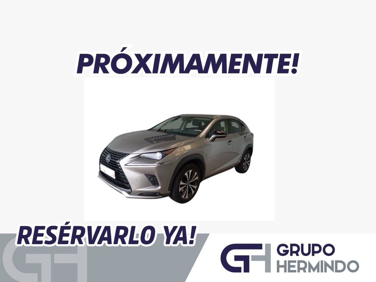 Foto lexus nx 2021 /