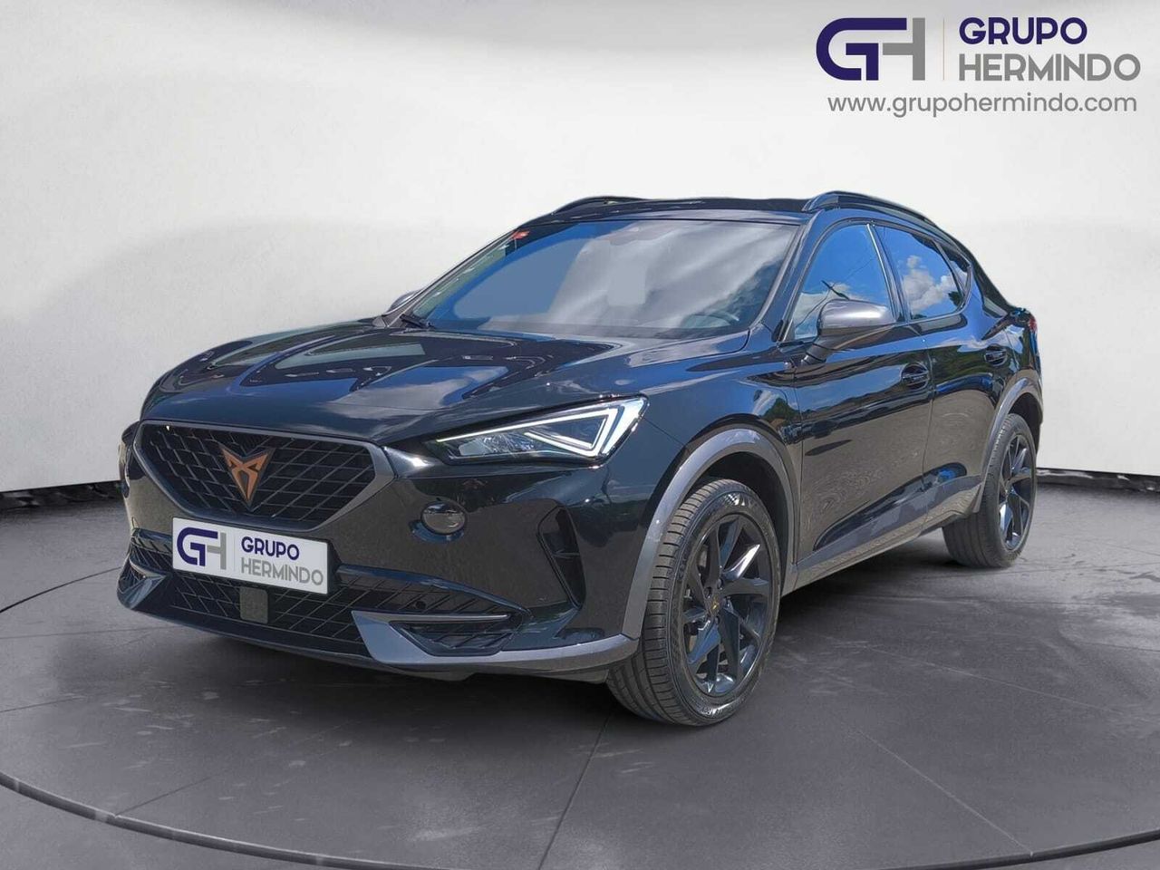 Cupra Formentor 1.5 TSI 150 CV DSG  - Foto 2