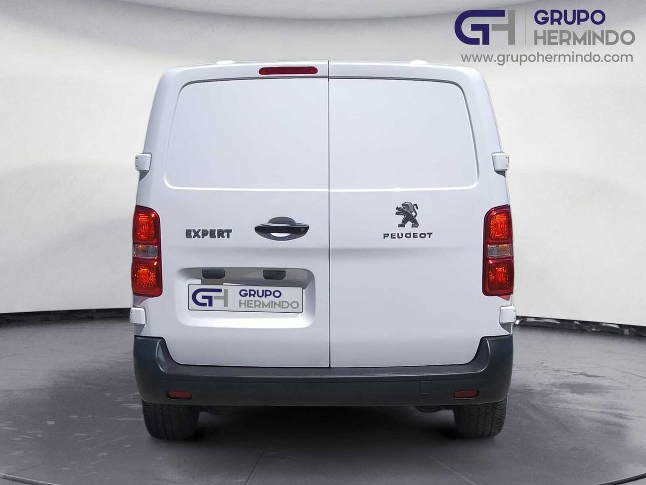Peugeot Expert FG PRO BLUE HDI 100 CV STANDARD   - Foto 2