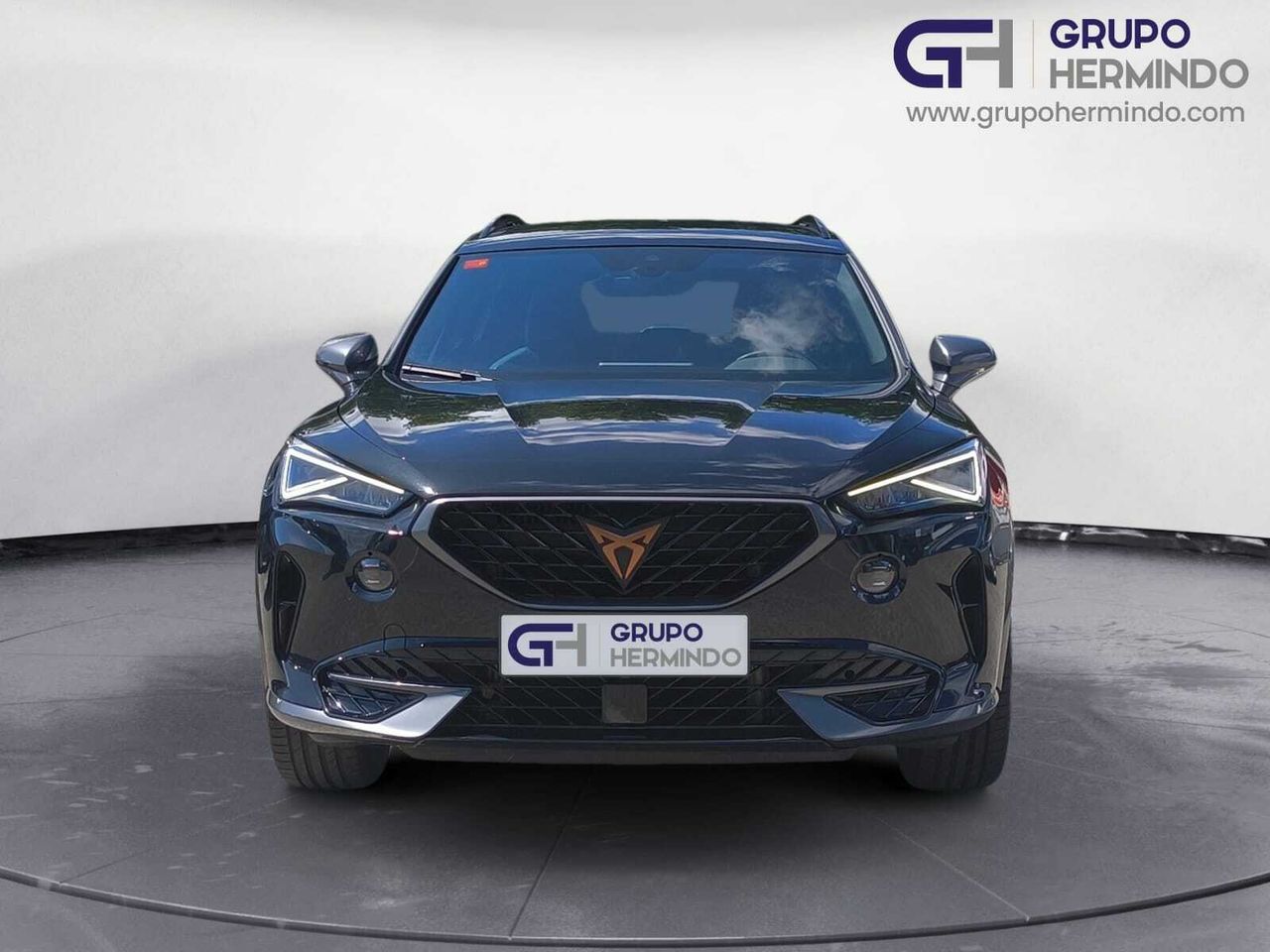 Cupra Formentor 1.5 TSI 150 CV DSG  - Foto 2