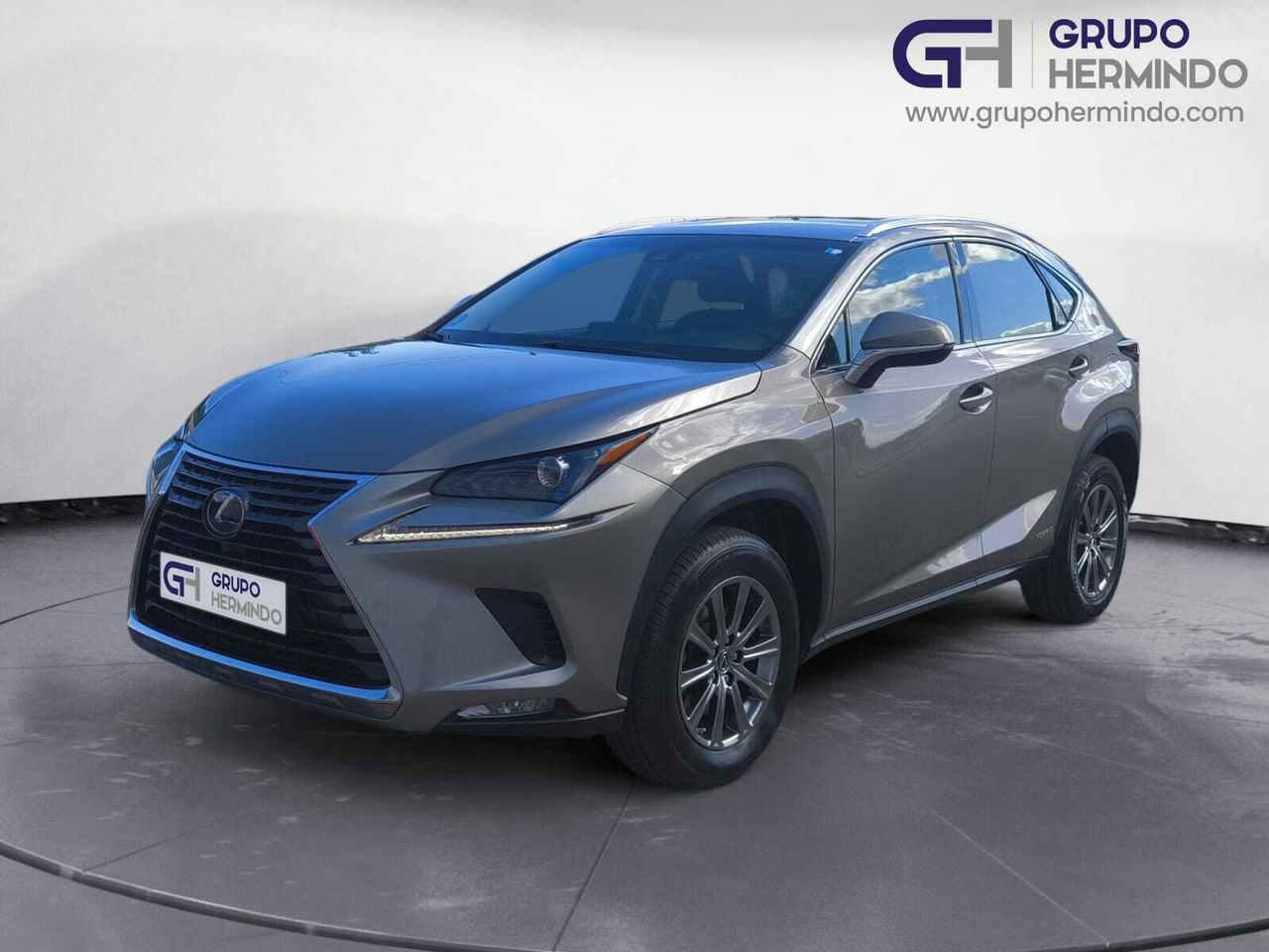 Lexus NX 2.5 300 H BUSINESS NAVIGATION  2WD  - Foto 2