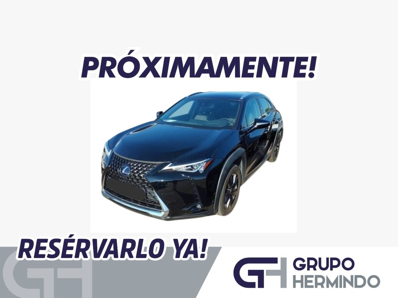 Lexus UX 2.0 250 H BUSINESS  - Foto 2