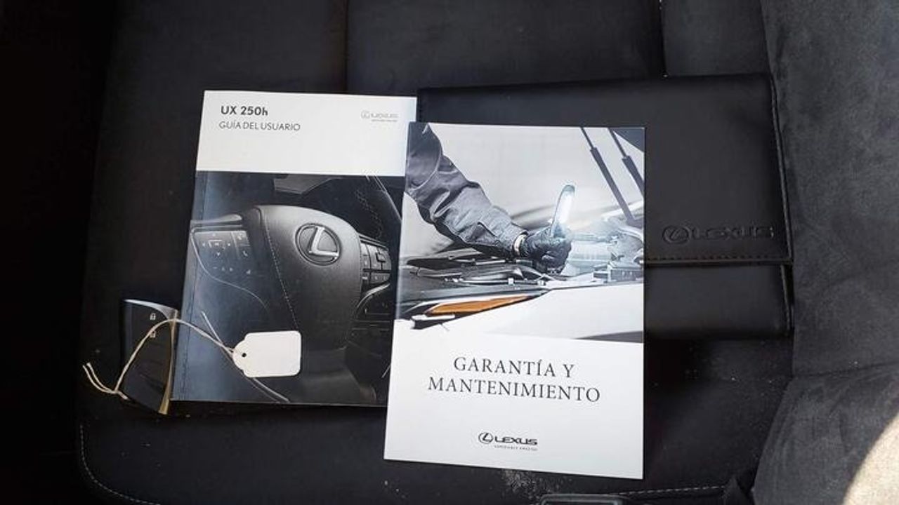 Lexus UX 2.0 250 H BUSINESS  - Foto 2