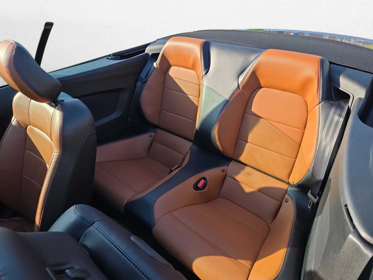 Ford Mustang CONVERTIBLE GT 5.0 TI-VCT 445 CV AT10 E6DT  - Foto 2