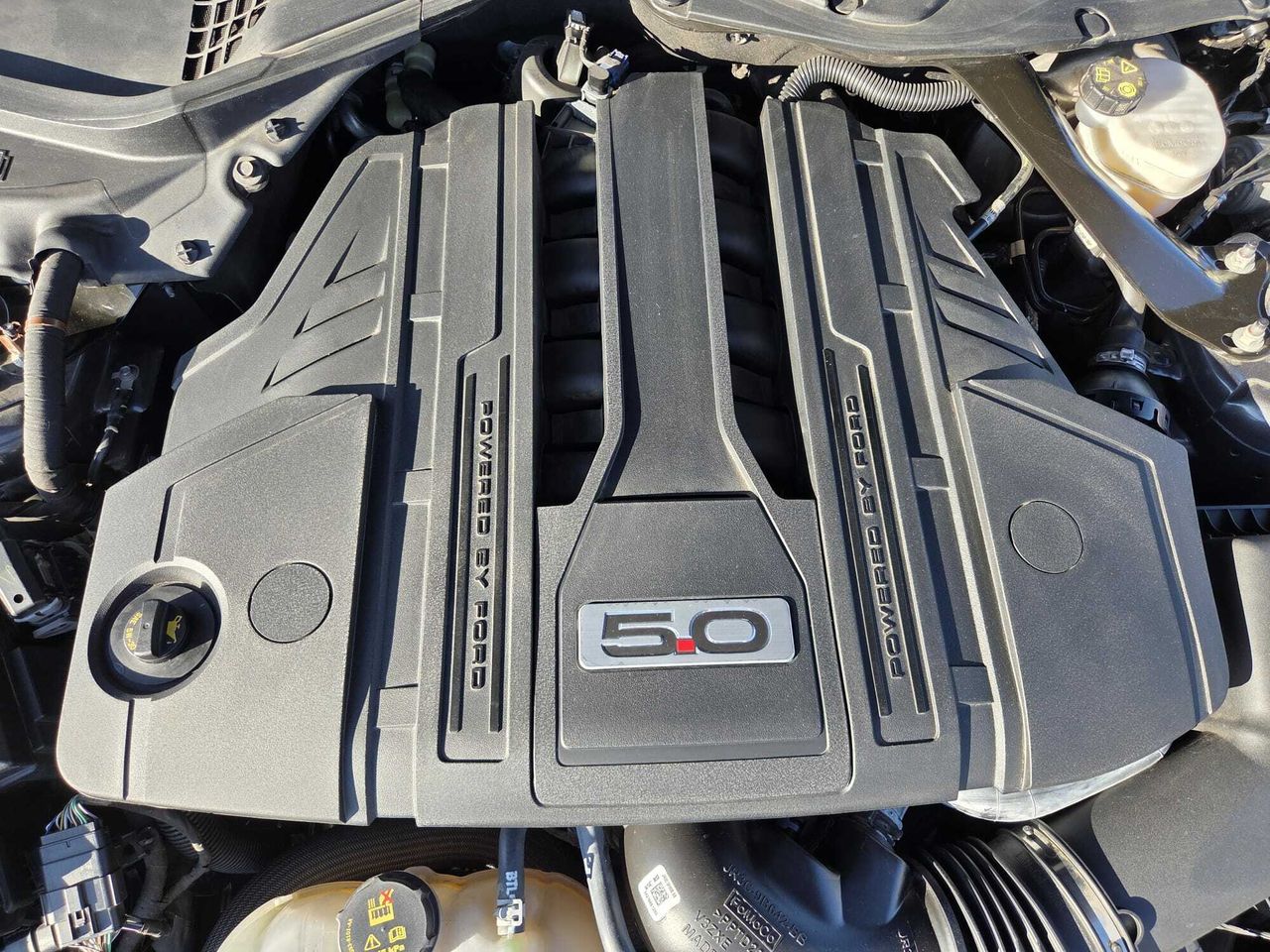 Ford Mustang CONVERTIBLE GT 5.0 TI-VCT 445 CV AT10 E6DT  - Foto 2