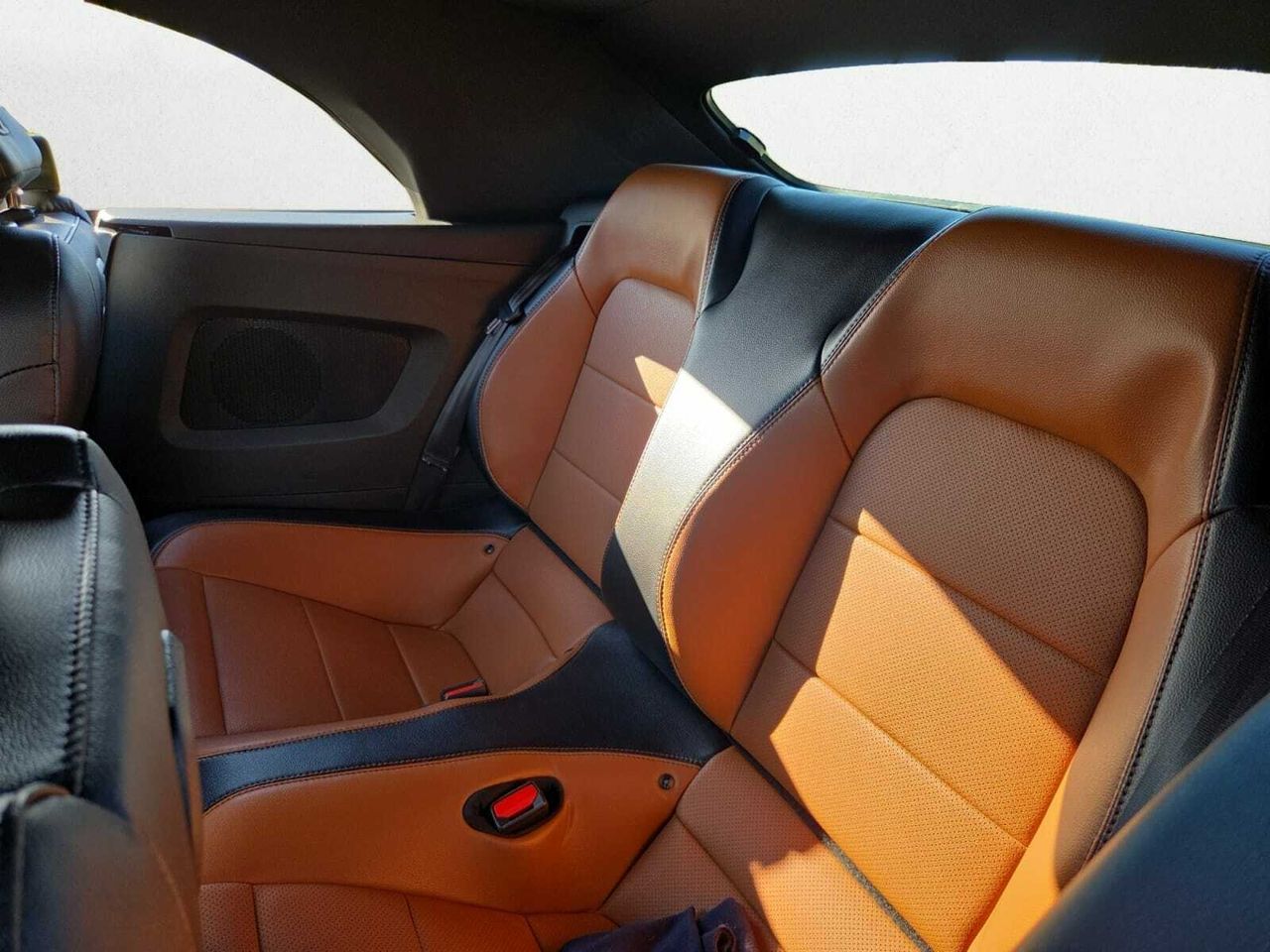 Ford Mustang CONVERTIBLE GT 5.0 TI-VCT 445 CV AT10 E6DT  - Foto 2