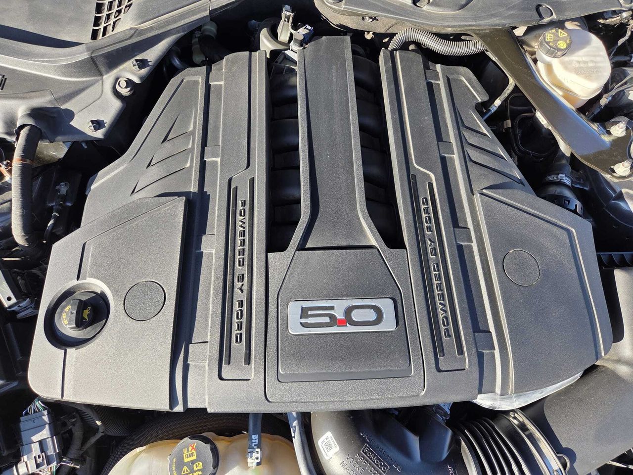 Ford Mustang CONVERTIBLE GT 5.0 TI-VCT 445 CV AT10 E6DT  - Foto 2