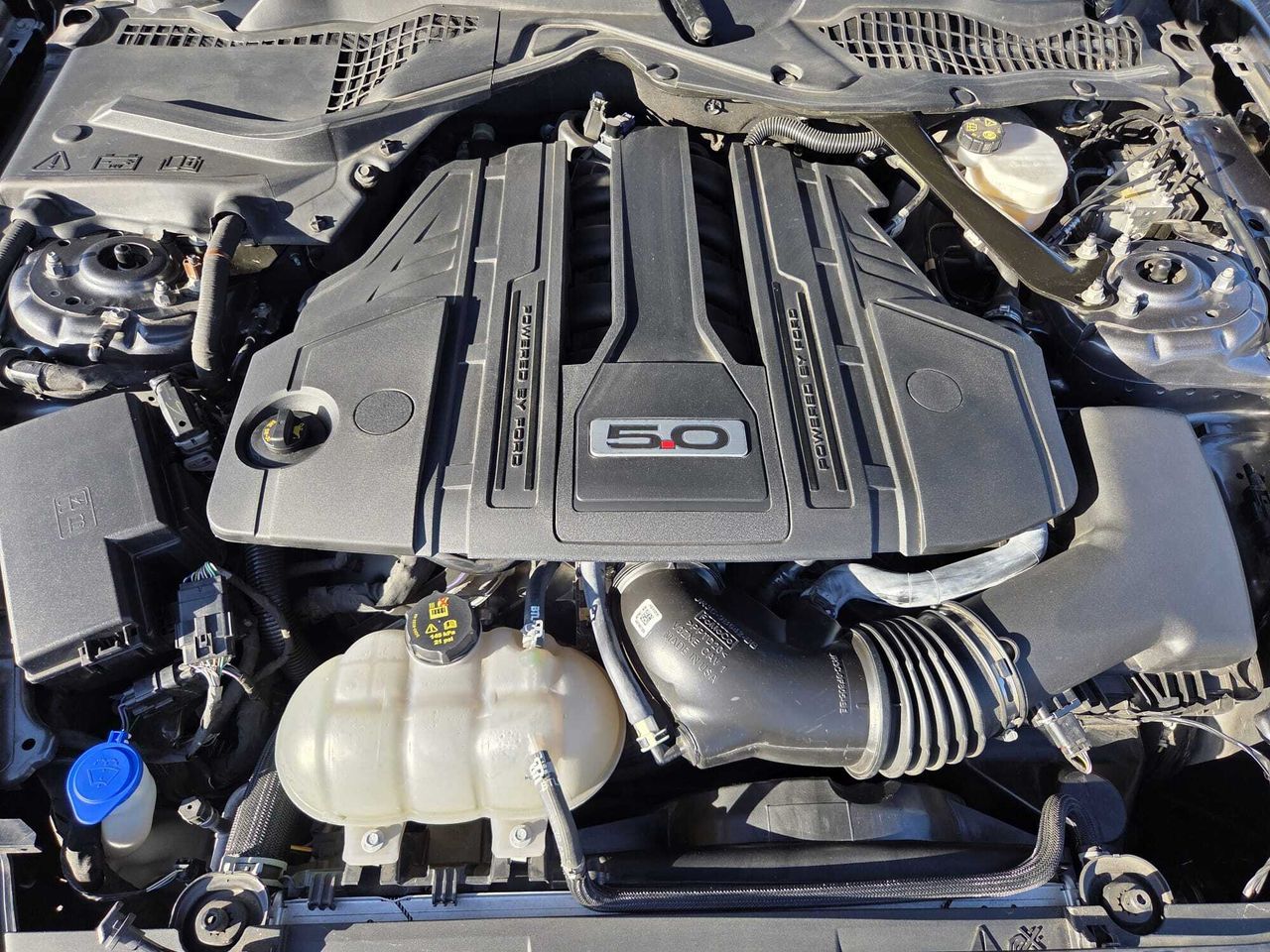 Ford Mustang CONVERTIBLE GT 5.0 TI-VCT 445 CV AT10 E6DT  - Foto 2