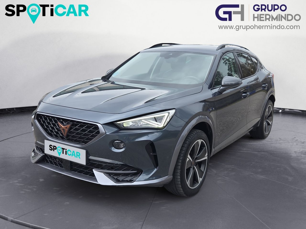 Cupra Formentor 2.0 TDI 110 KW 150 CV - Foto 2