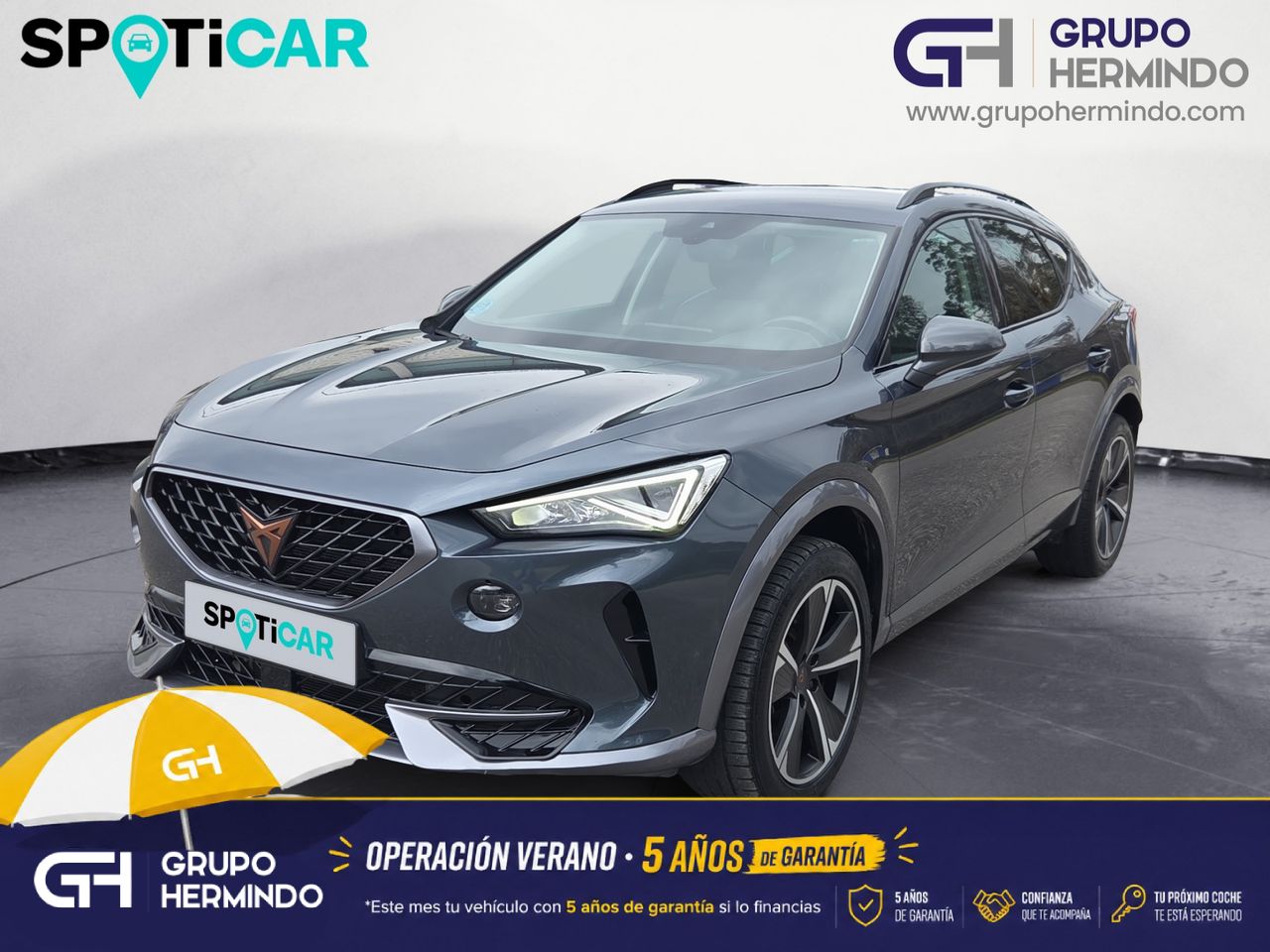 Cupra Formentor 2.0 TDI 110 KW 150 CV - Foto 2