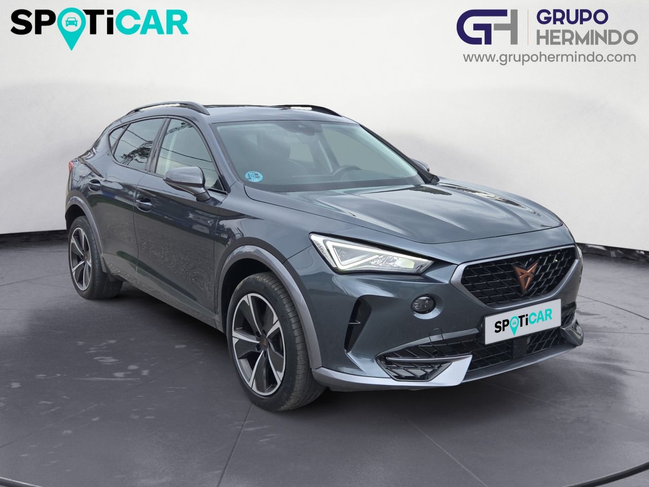Cupra Formentor 2.0 TDI 110 KW 150 CV - Foto 2