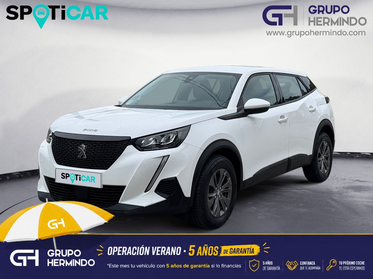 Peugeot 2008 ACTIVE PACK BLUE HDI 110 CV - Foto 2