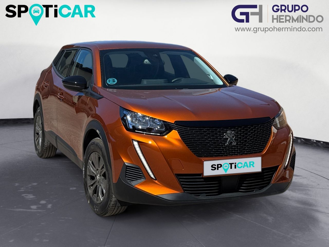 Peugeot 2008 ACTIVE PACK BLUE HDI 110 CV - Foto 2