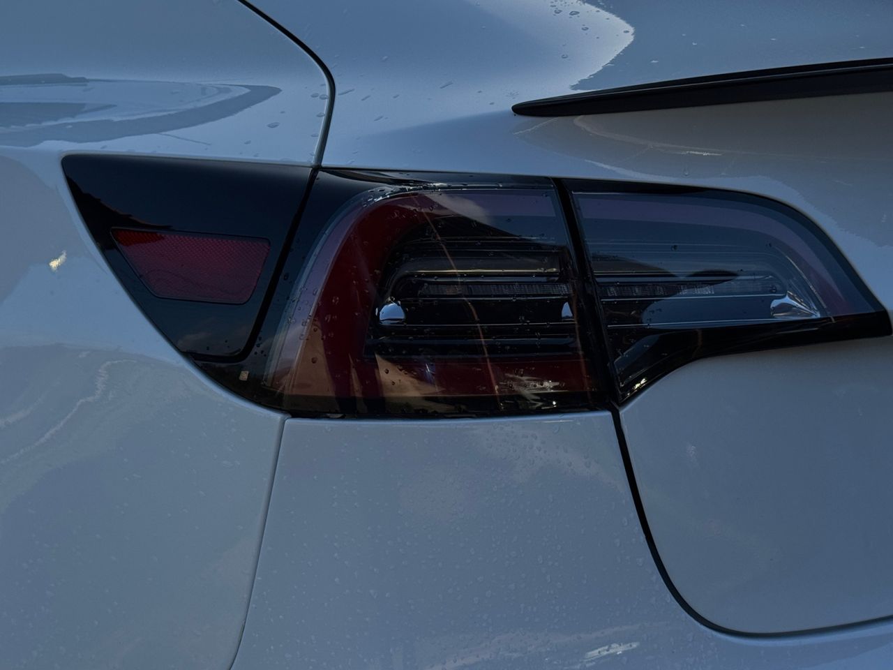 Tesla Model 3 GRAN AUTONOMIA AWD - Foto 2