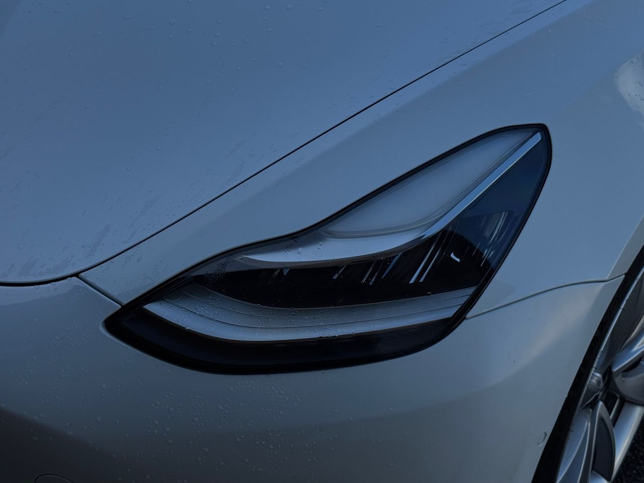 Tesla Model 3 GRAN AUTONOMIA AWD - Foto 2