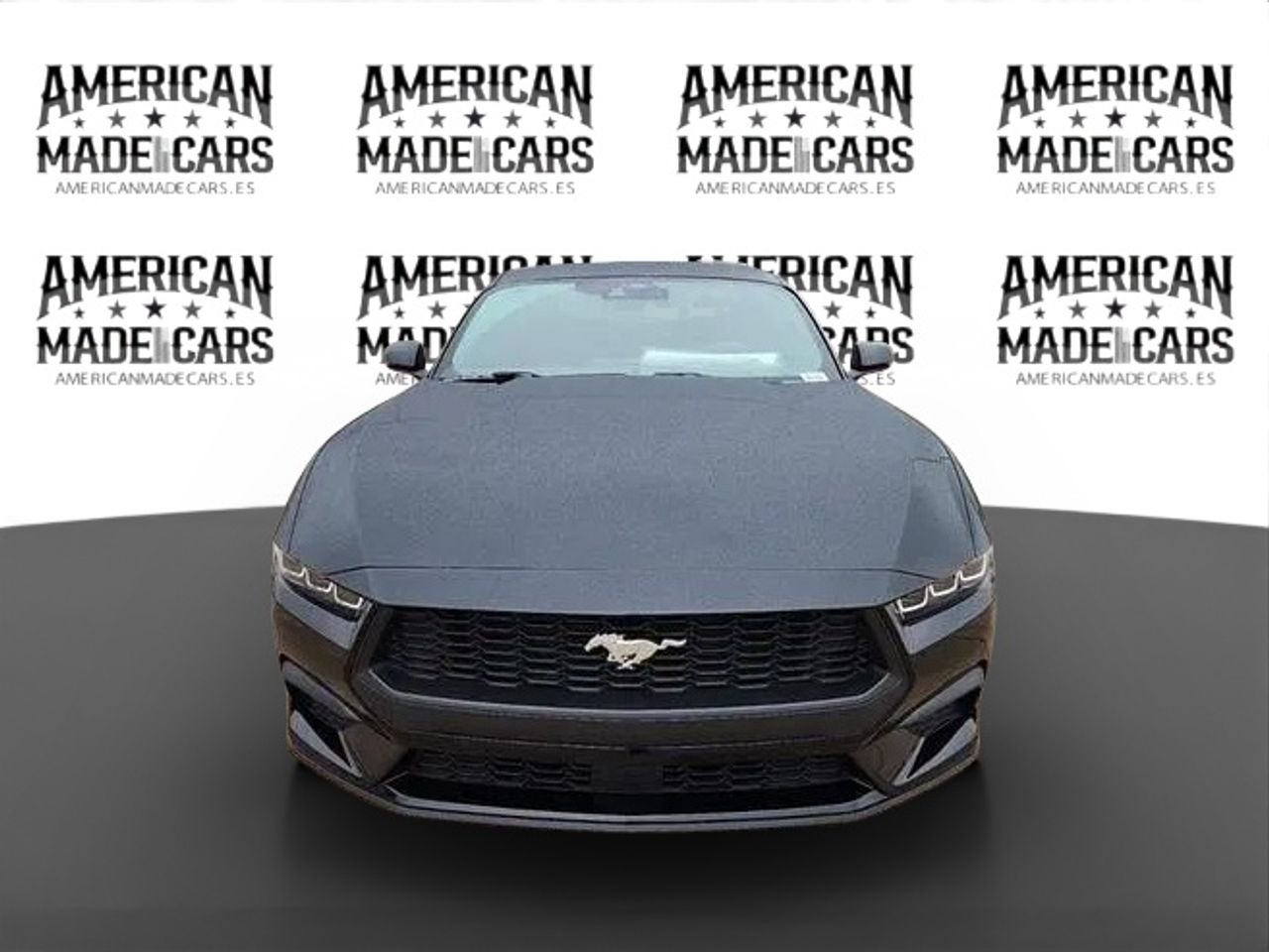 ford mustang 2024 / foto grande (2)