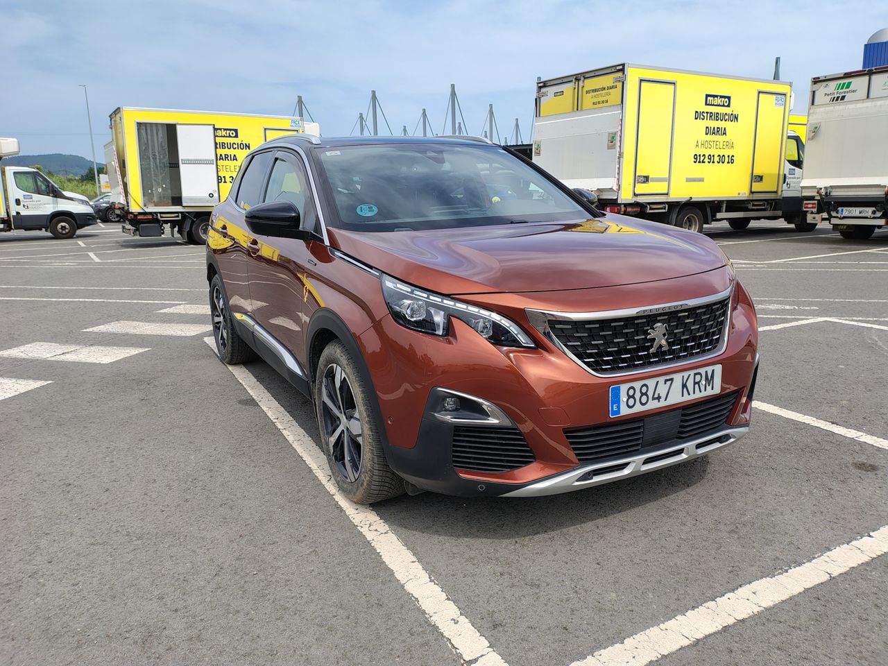 peugeot 3008 2019 / foto grande (3)