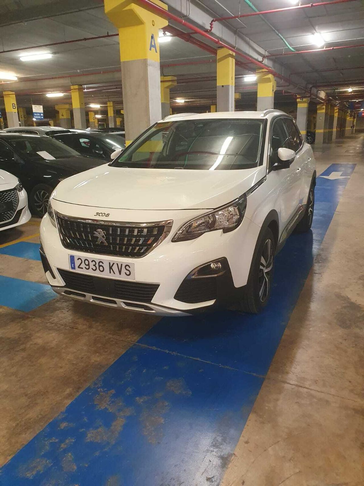 peugeot 3008 2019 / foto grande (2)