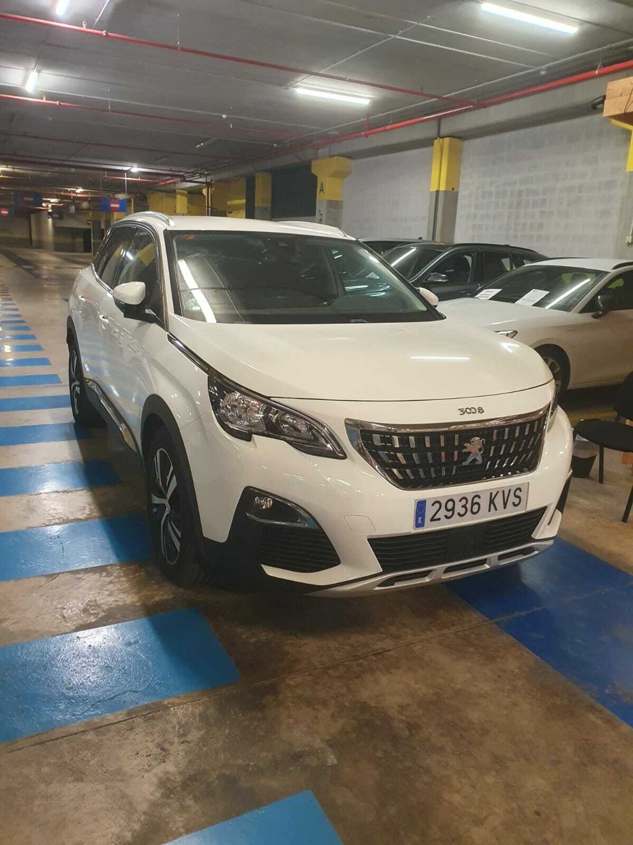 peugeot 3008 2019 / foto grande (3)