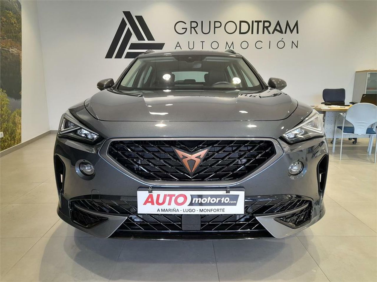 Cupra Formentor 2.0 TDI 110kW (150 CV) - Foto 2