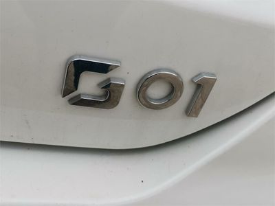 SWM G01 1.5T Luxury