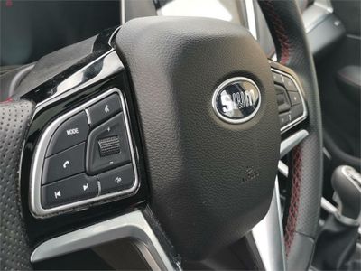 SWM G01 1.5T Luxury