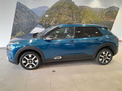 Citroën C4 Cactus BlueHDi 73KW (100CV) Shine