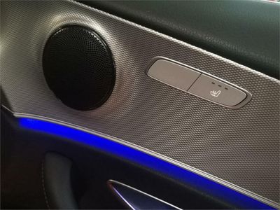 Mercedes Clase E 250 BlueTEC 4MATIC Avantgarde