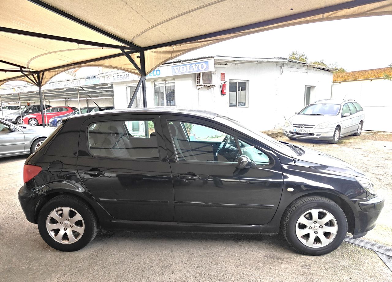 peugeot 307 2002 / foto grande (2)