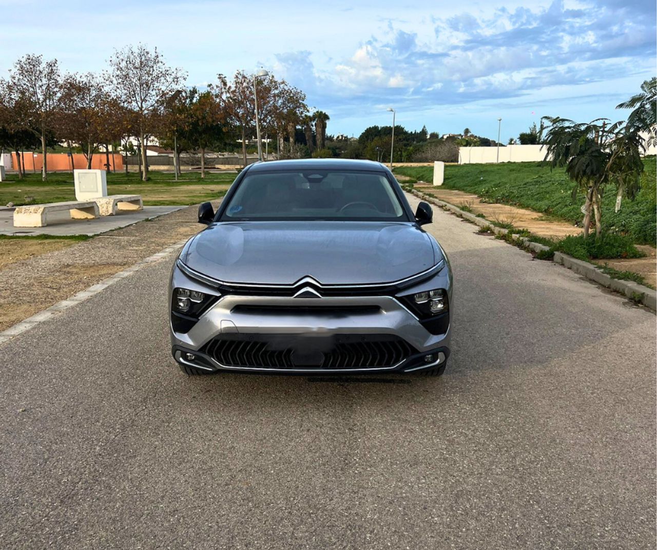 citroën c5 x hybrid 225 e-eat8 shine pack foto grande (3)