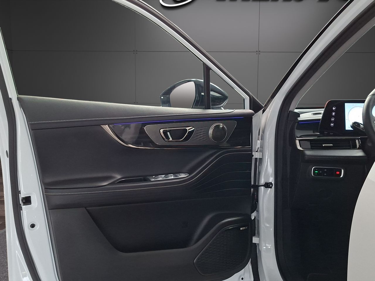 Omoda 5 MY25 - Premium 1.6 TGDI 108kW (145cv) - Foto 23