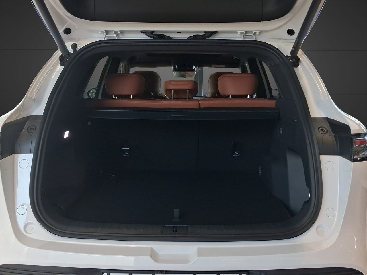 Lepas L8 PHEV Elegance 1.5 TGDI 1DHT 205kW(279CV) - Foto 11