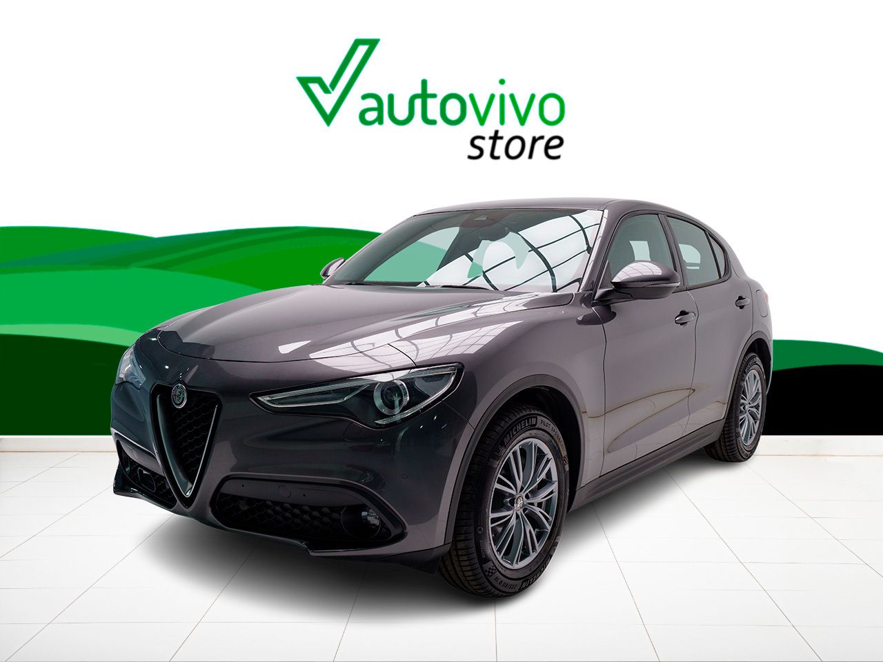 Alfa Romeo Stelvio Q4 SUPER 2.1 TD 190 CV AT8 5P - Foto 2