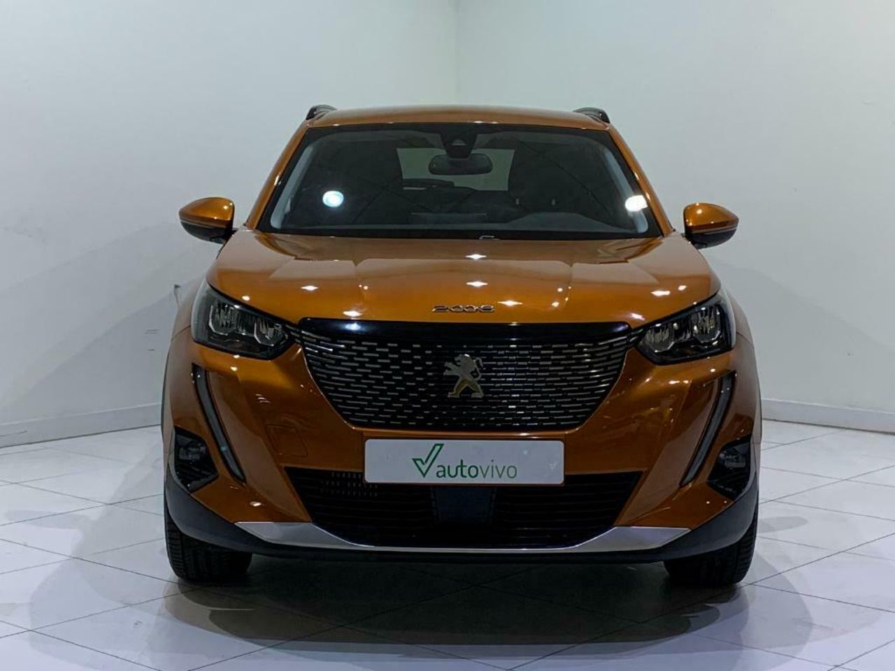 peugeot 2008 2020 / foto grande (2)