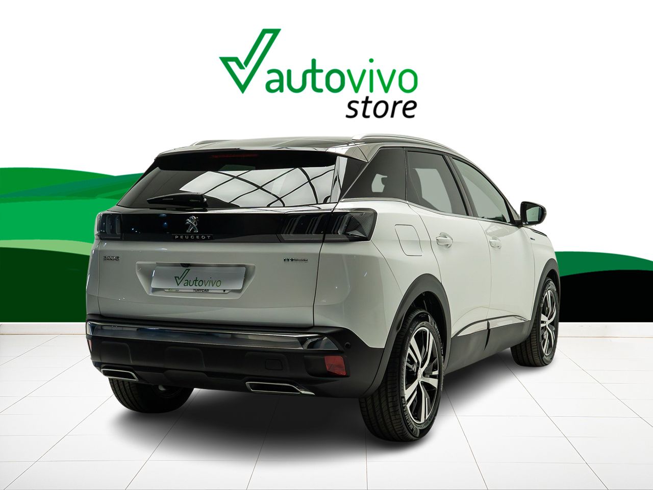 peugeot 3008 2022 / foto grande (2)