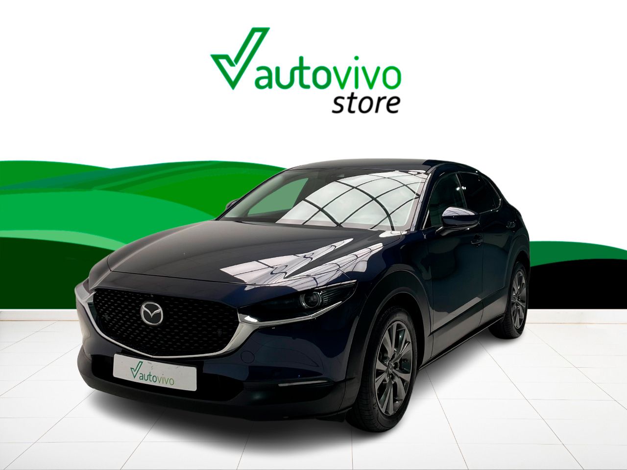 Mazda CX-30 ZENITH WHITE SAFETY 2.0 E-SKYACTIV-X 186 CV 2WD 5P - Foto 2