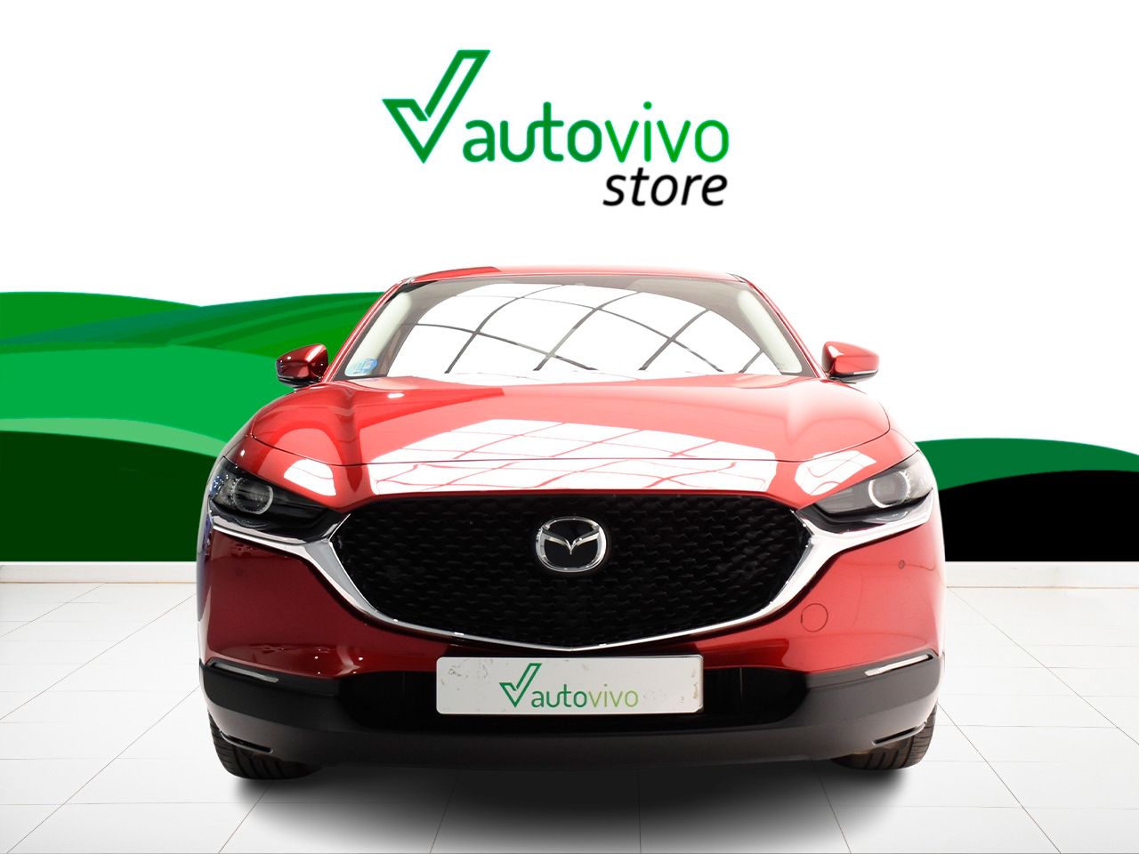Mazda CX-30 EVOLUTION 2.0 E-SKYACTIV-X 186 CV 2WD 5P - Foto 2