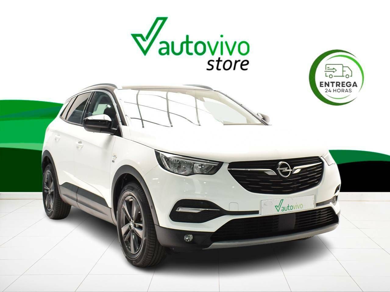 opel grandland x 2019 /