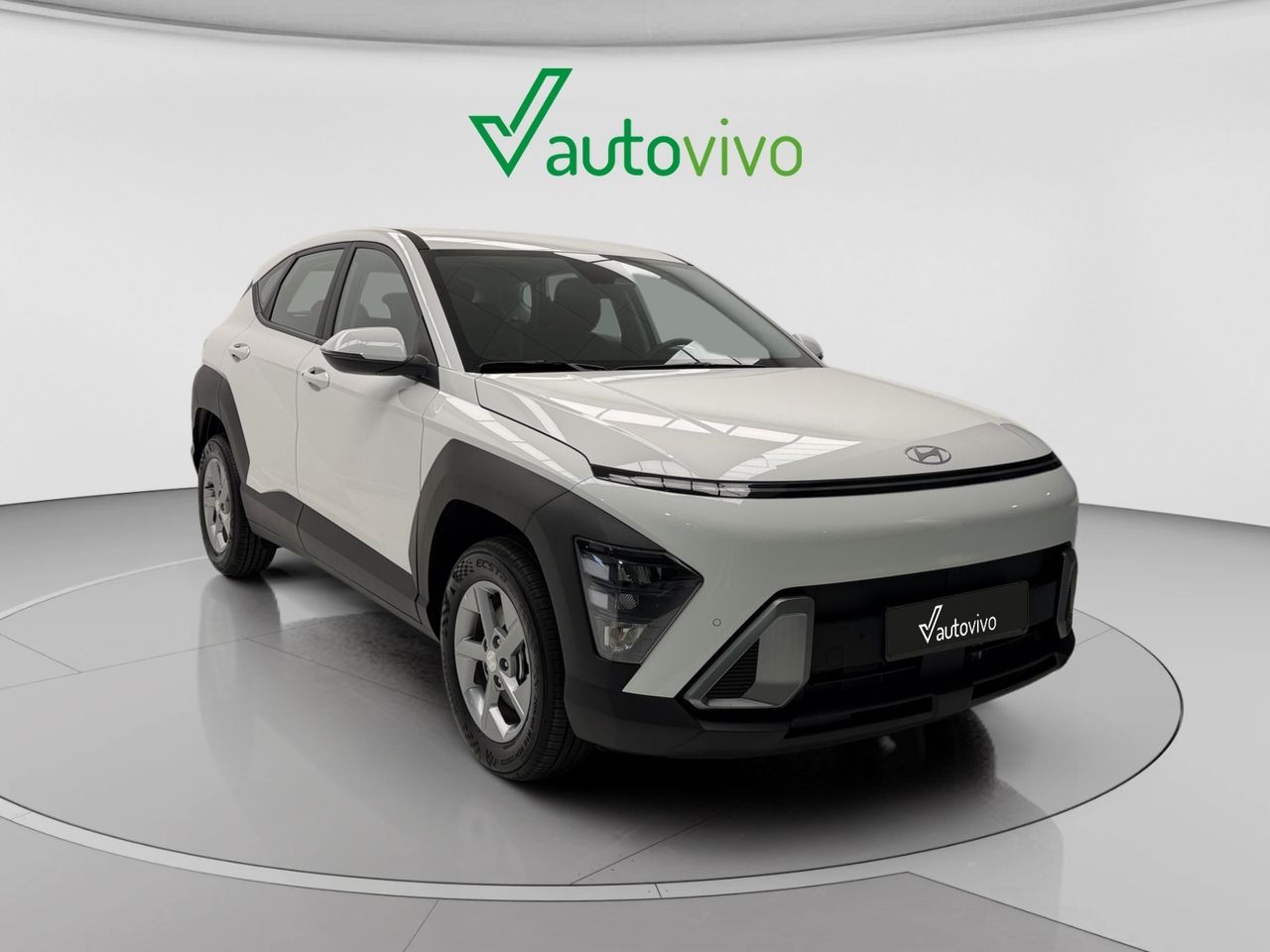 Brugt Hyundai Kona 1.0